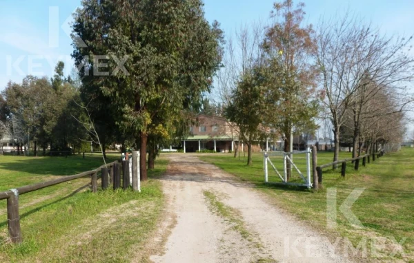 Campo en venta de 6 hectáreas en Olmos