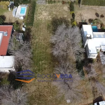 1759415431.jpg