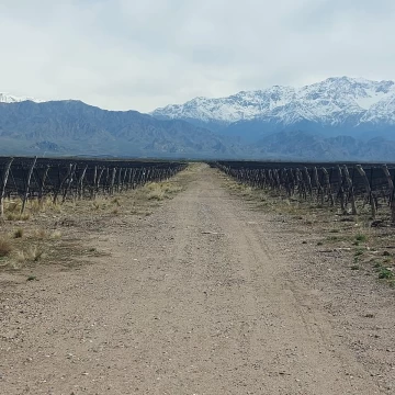 VENTA FINCA SAN CARLOS 