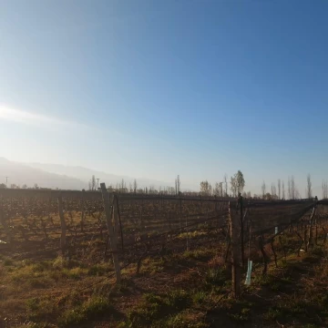 Finca - El Cepillo