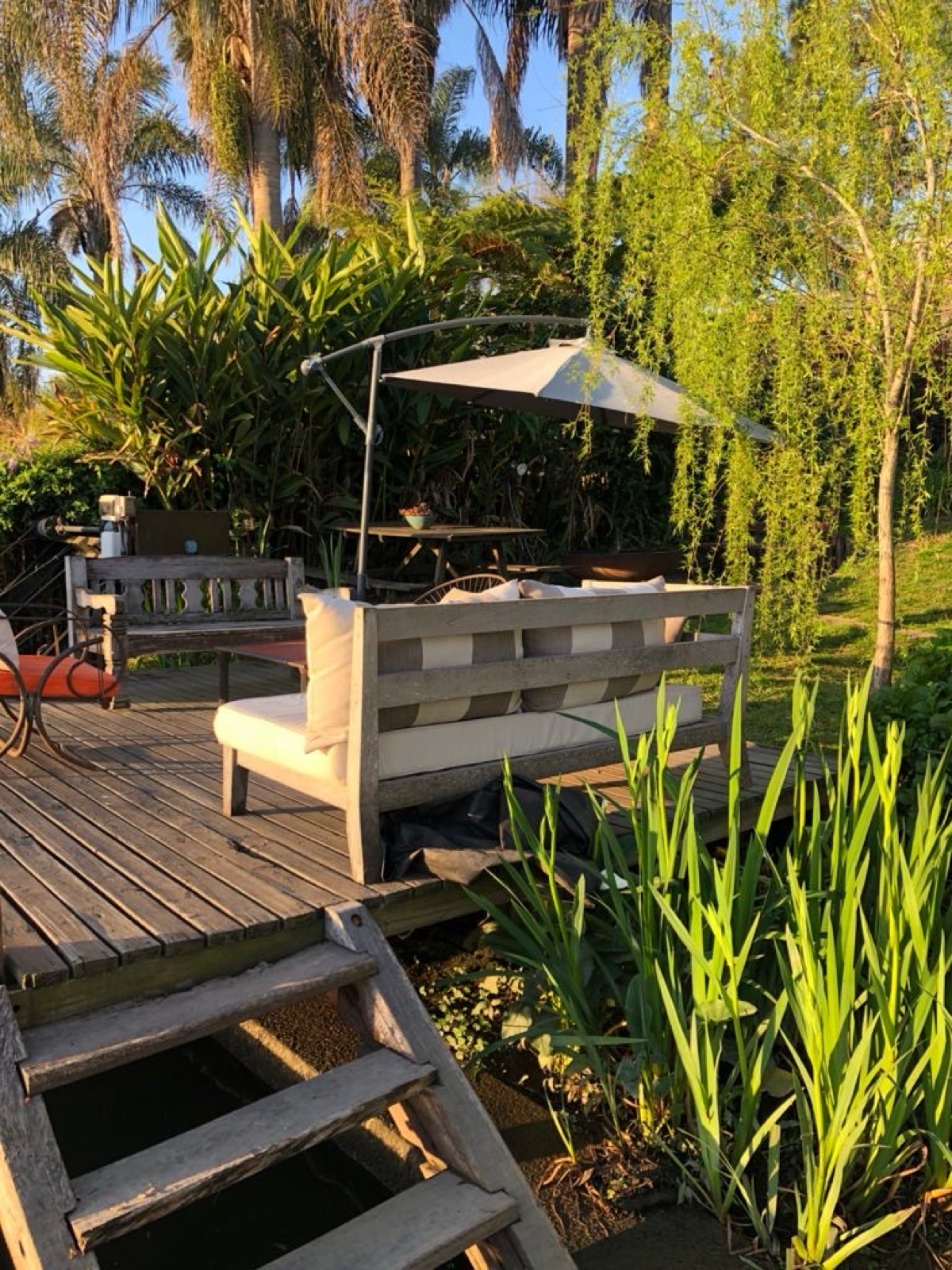 image 19