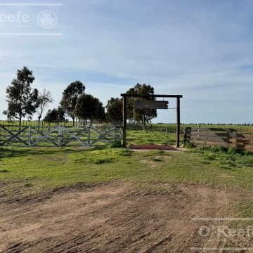 CAMPO MIXTO EN VENTA DE 830 HAS - CORONEL DORREGO
