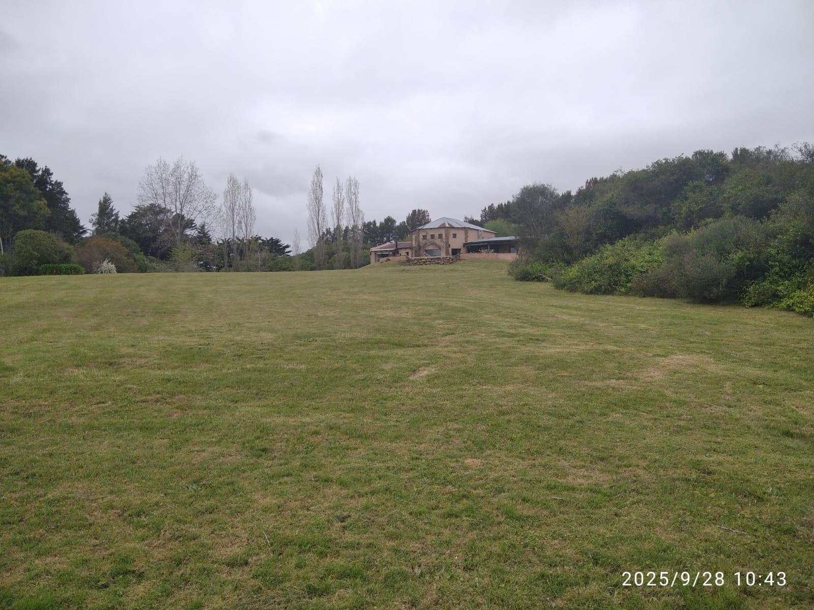 image 49