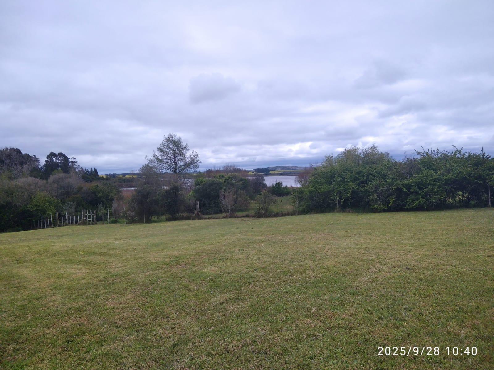 image 51