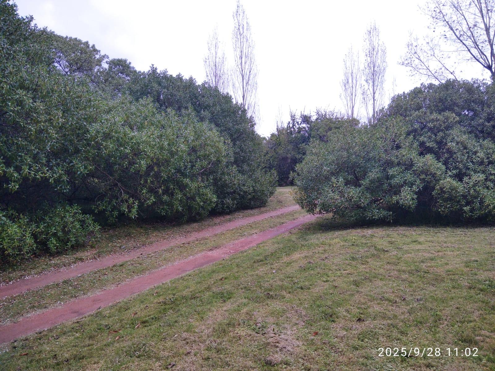 image 58