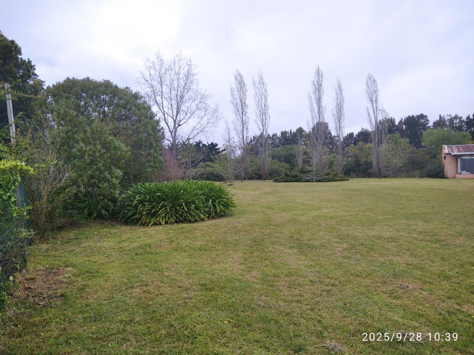 image 59