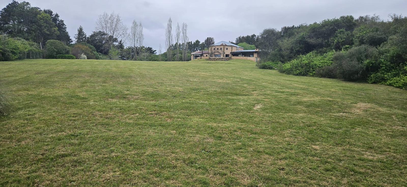 image 62