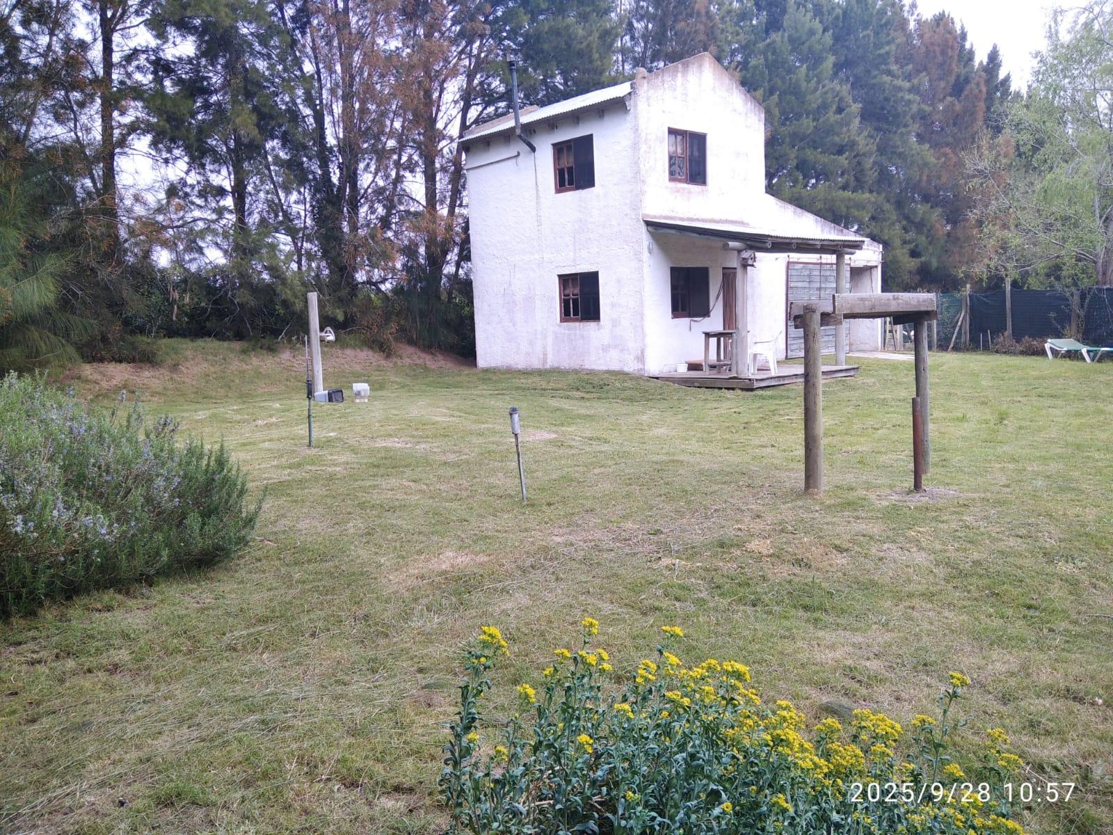 image 64
