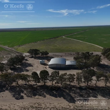 Campo mixto en venta 10.000 has en Patagones