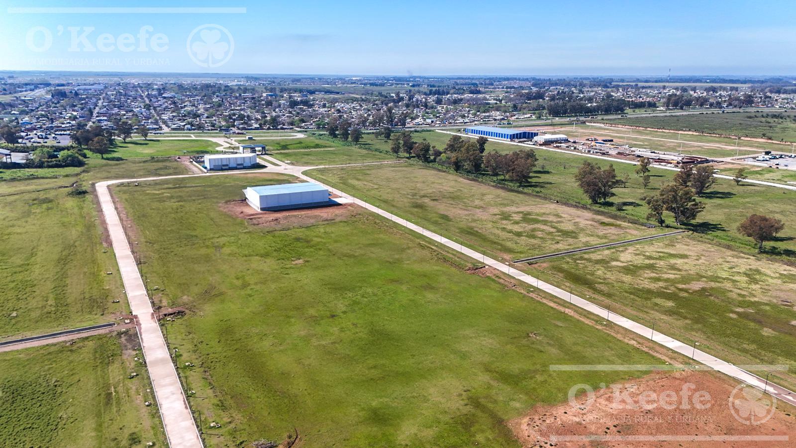 image 17