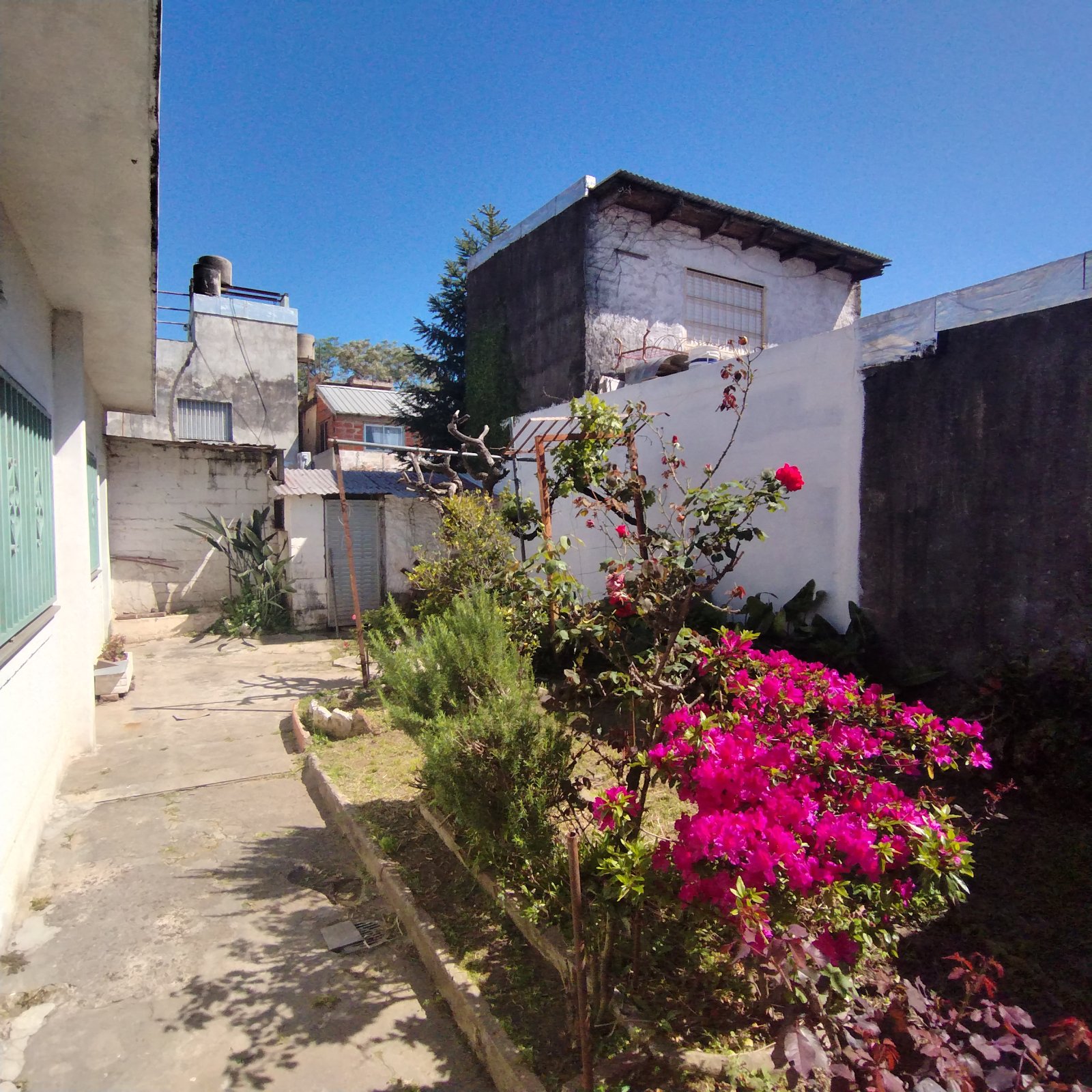 image 13