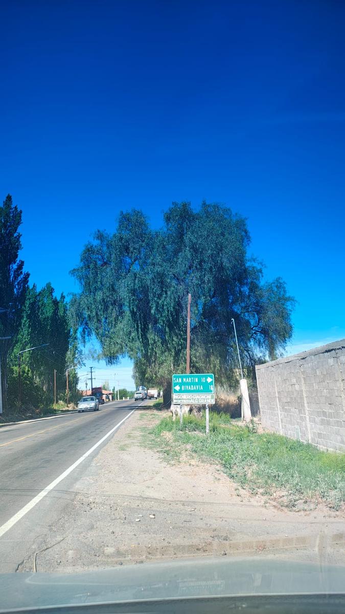 image 17