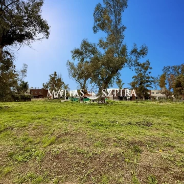LOTE EN VENTA EN ALVAREZ DEL BOSQUE