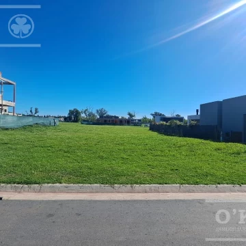 Lote en Venta en San Juan Chico Fondo verde con posesión inmediata Hudson Berazategui