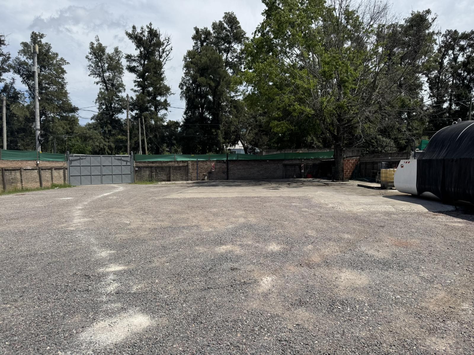image 19