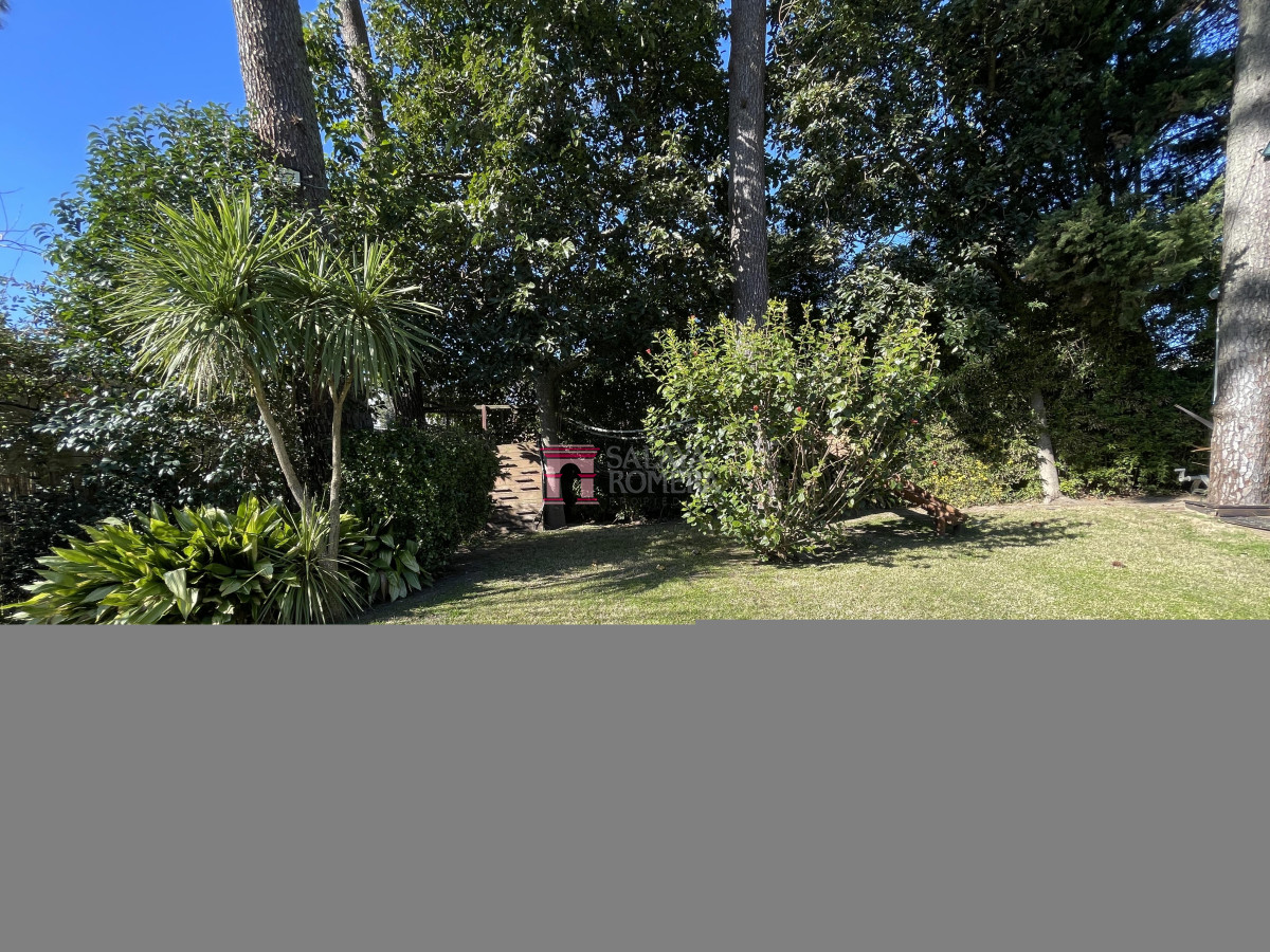 image 33