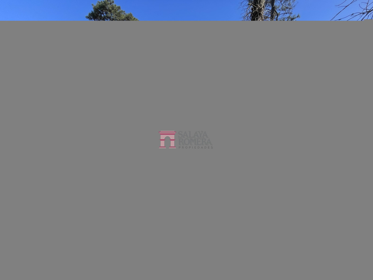 image 36
