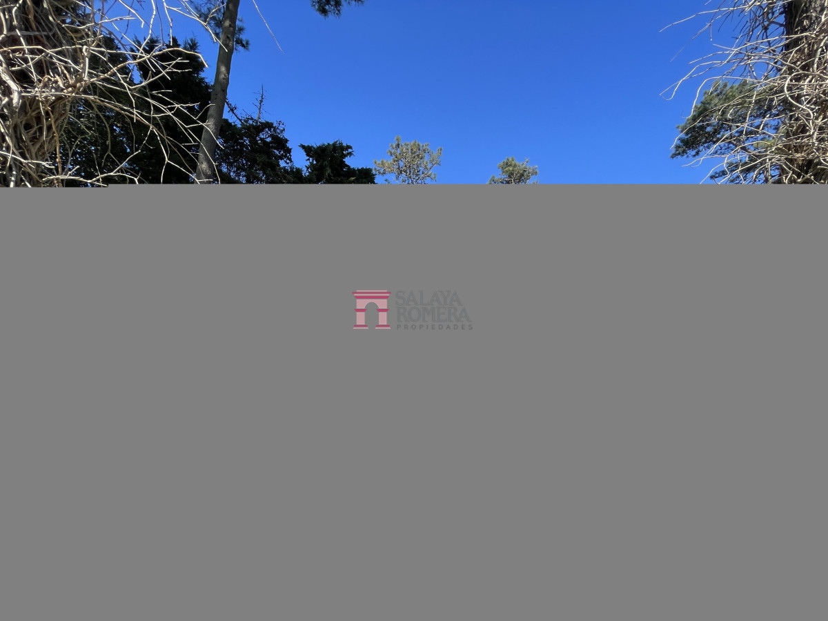 image 37