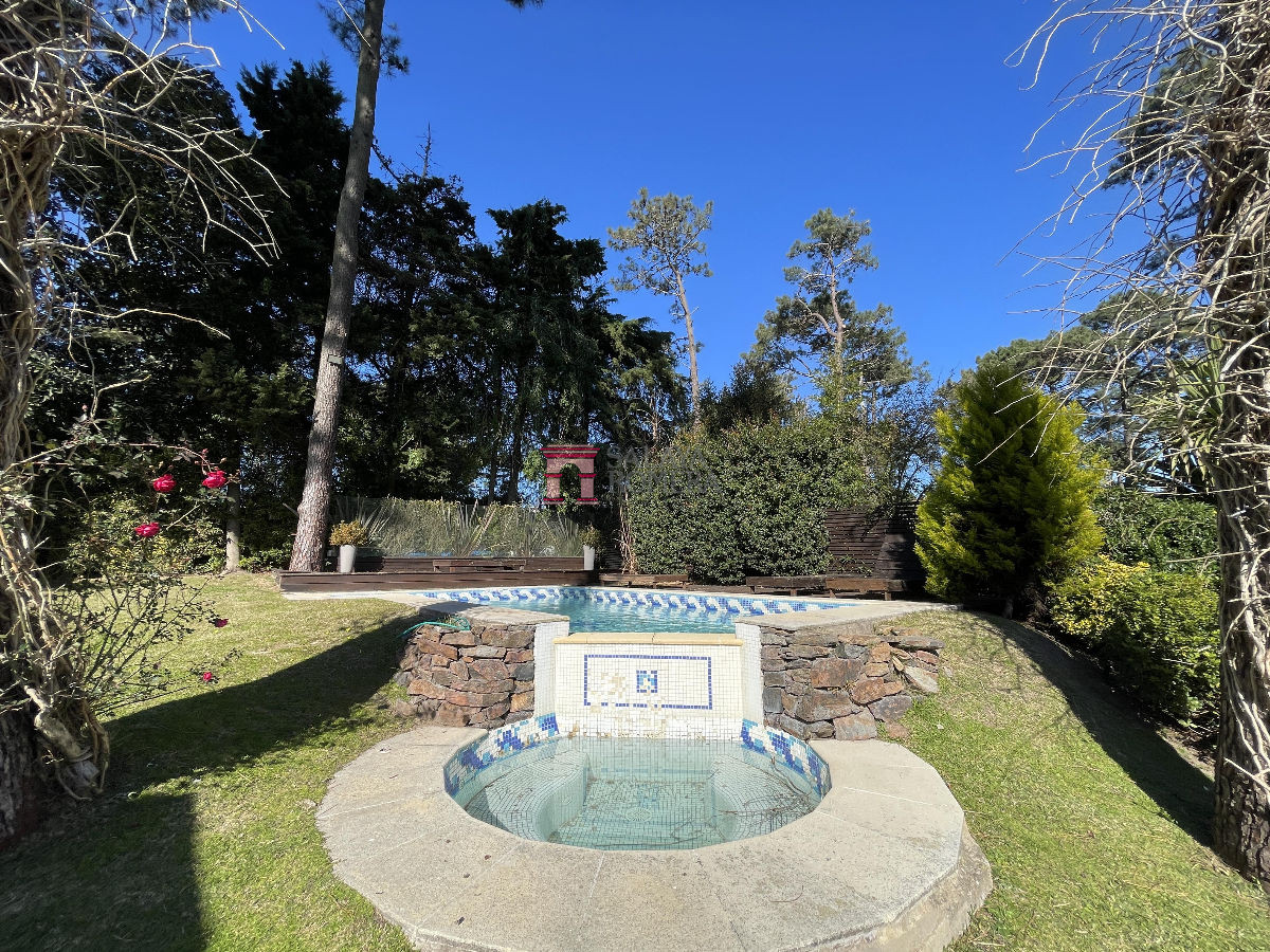image 38