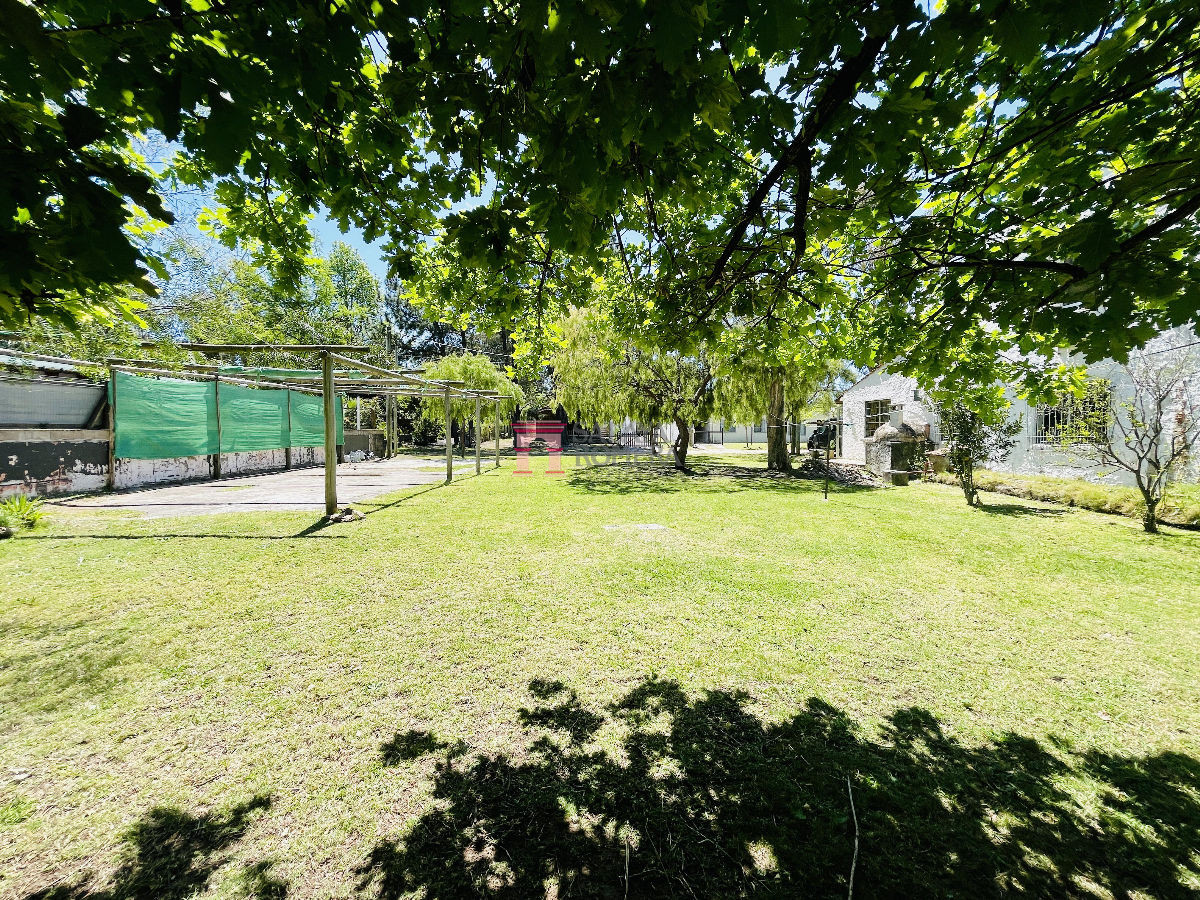 image 37