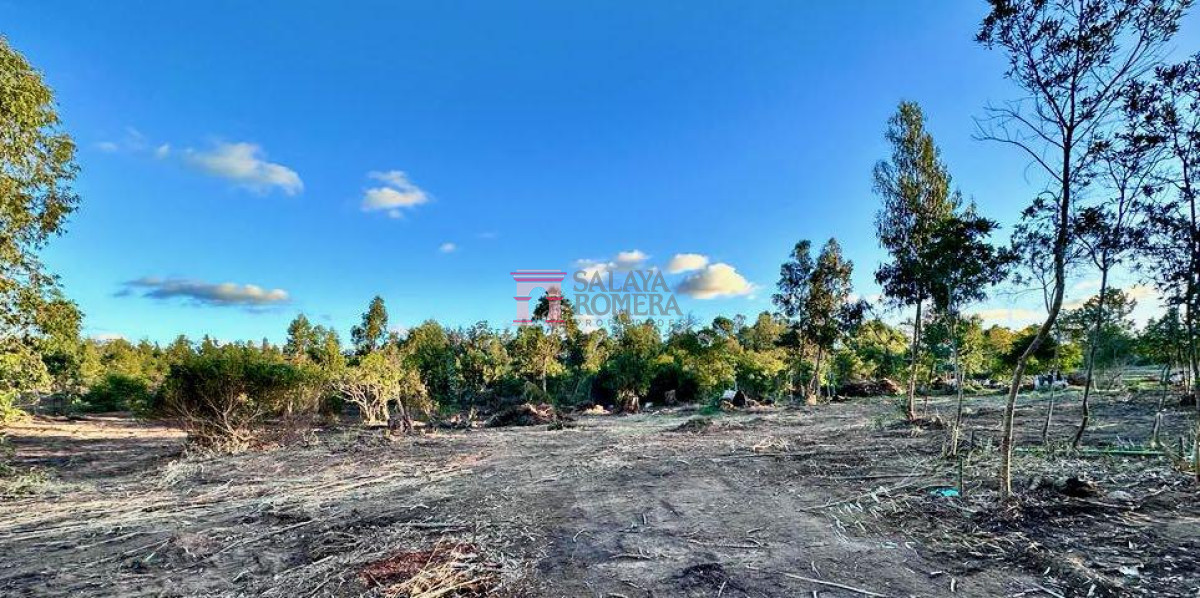image 27
