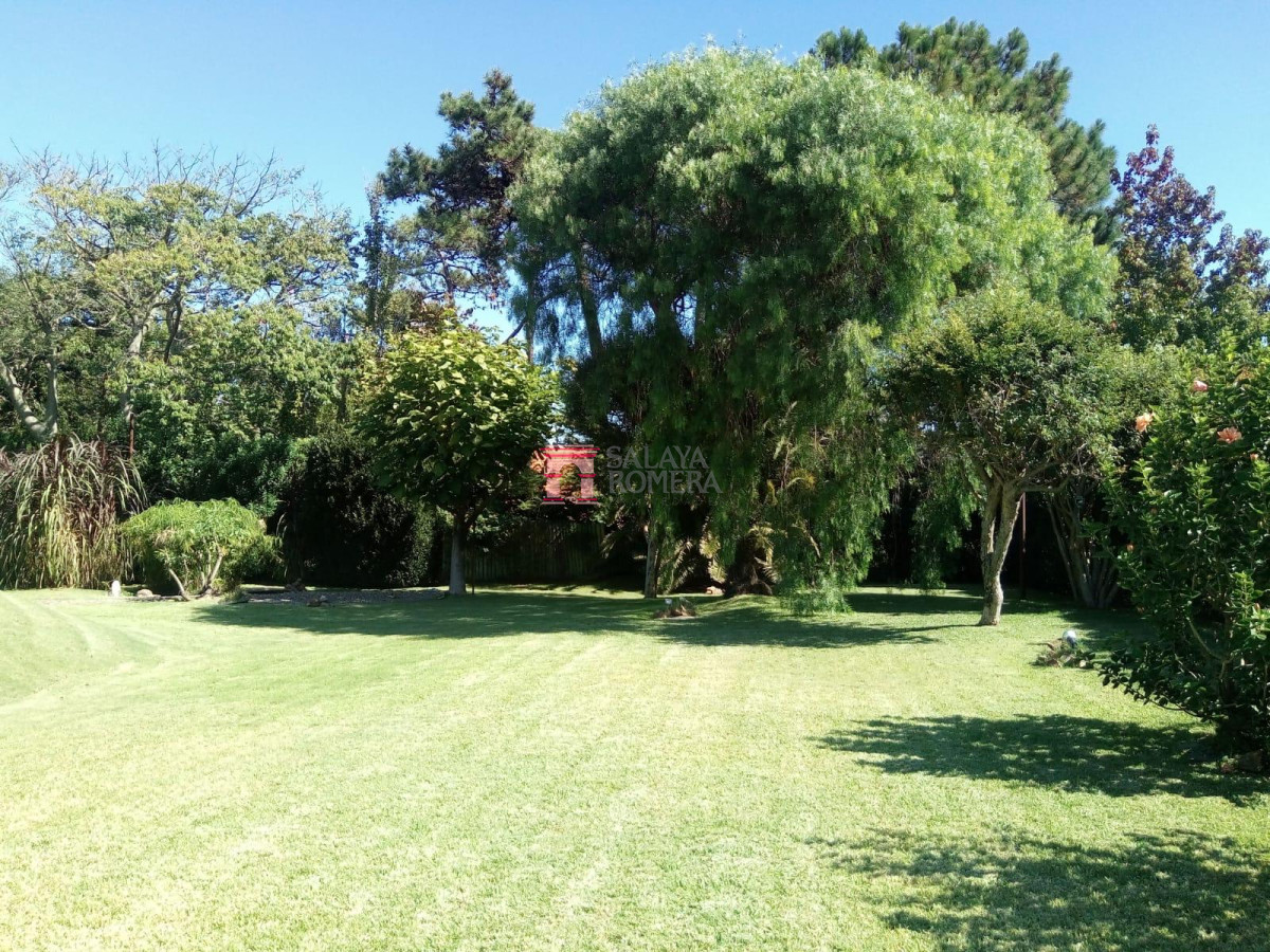 image 48