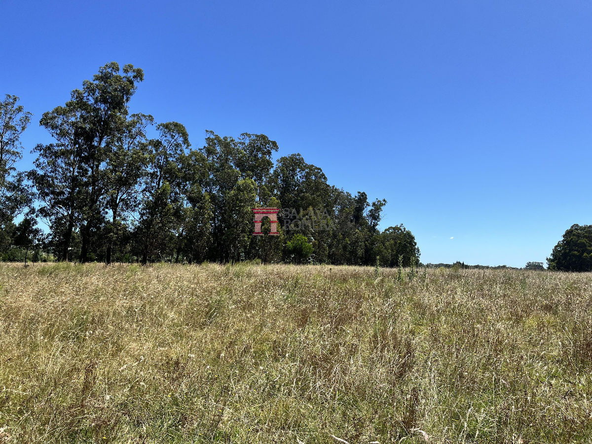 image 33