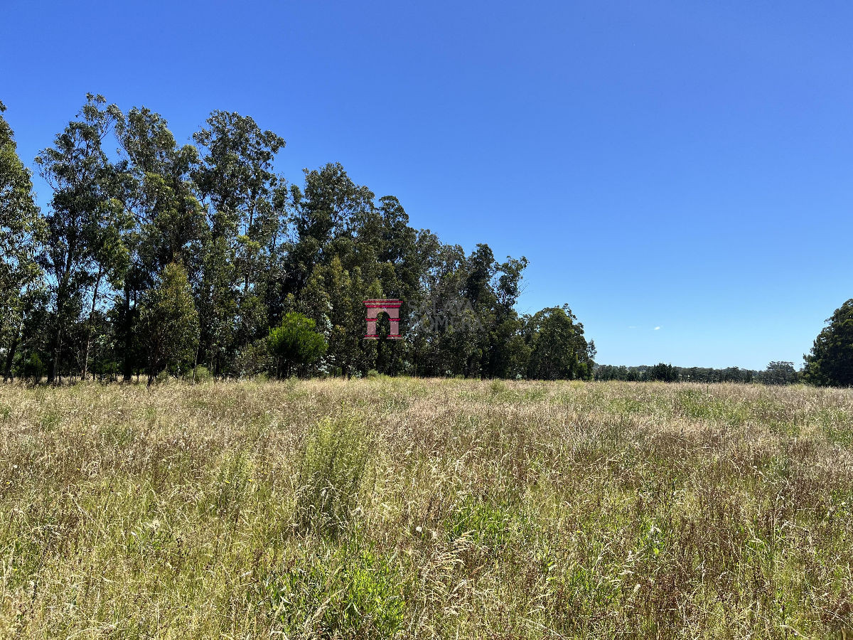image 37