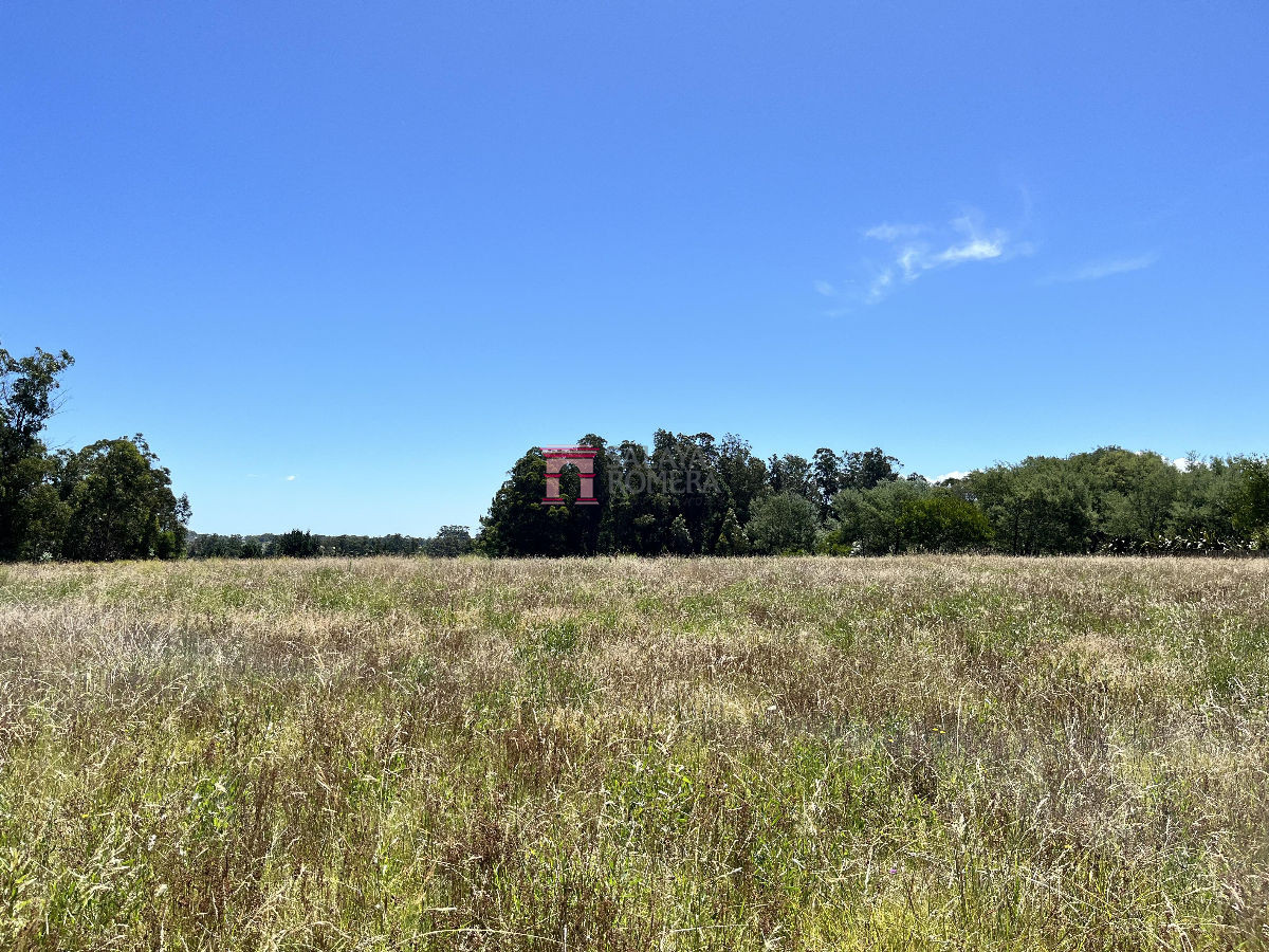 image 39