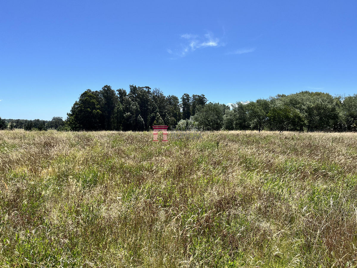 image 49