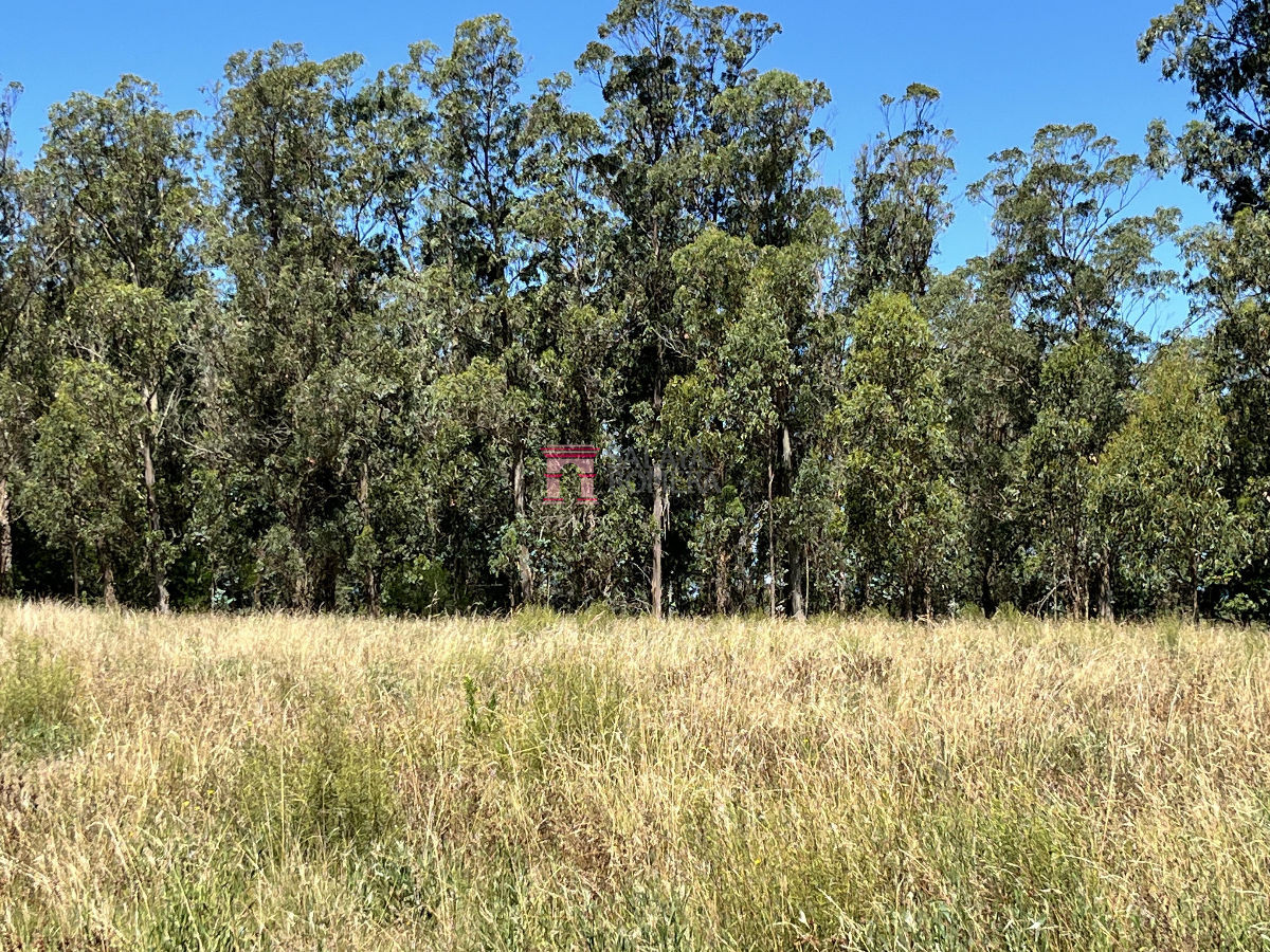 image 61