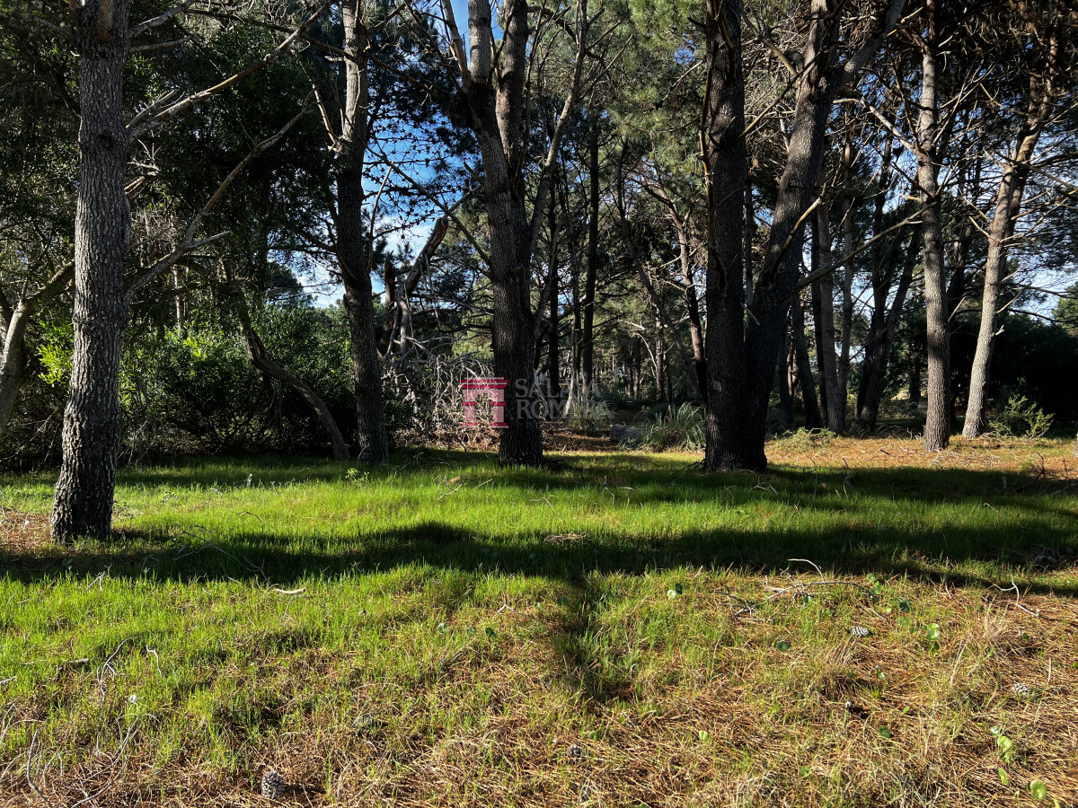 image 49