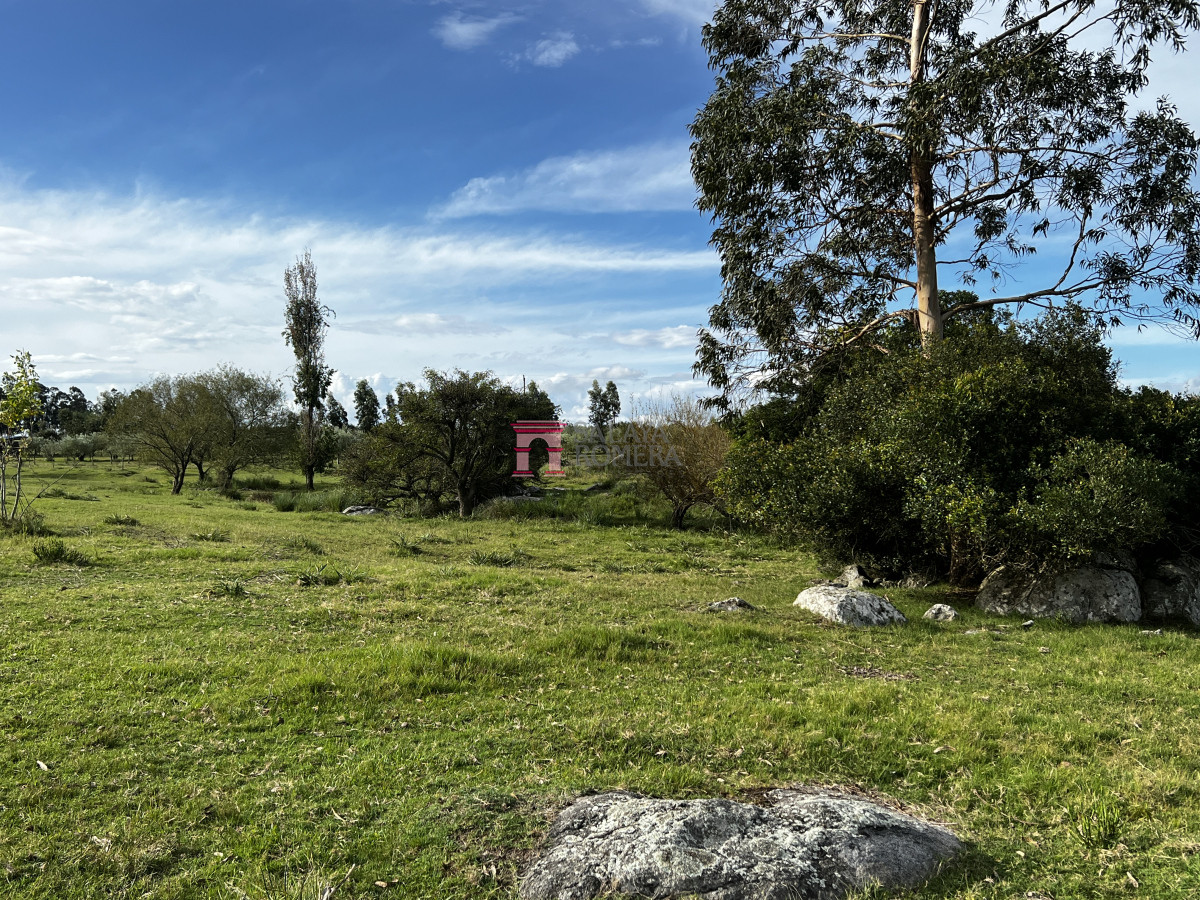 image 24