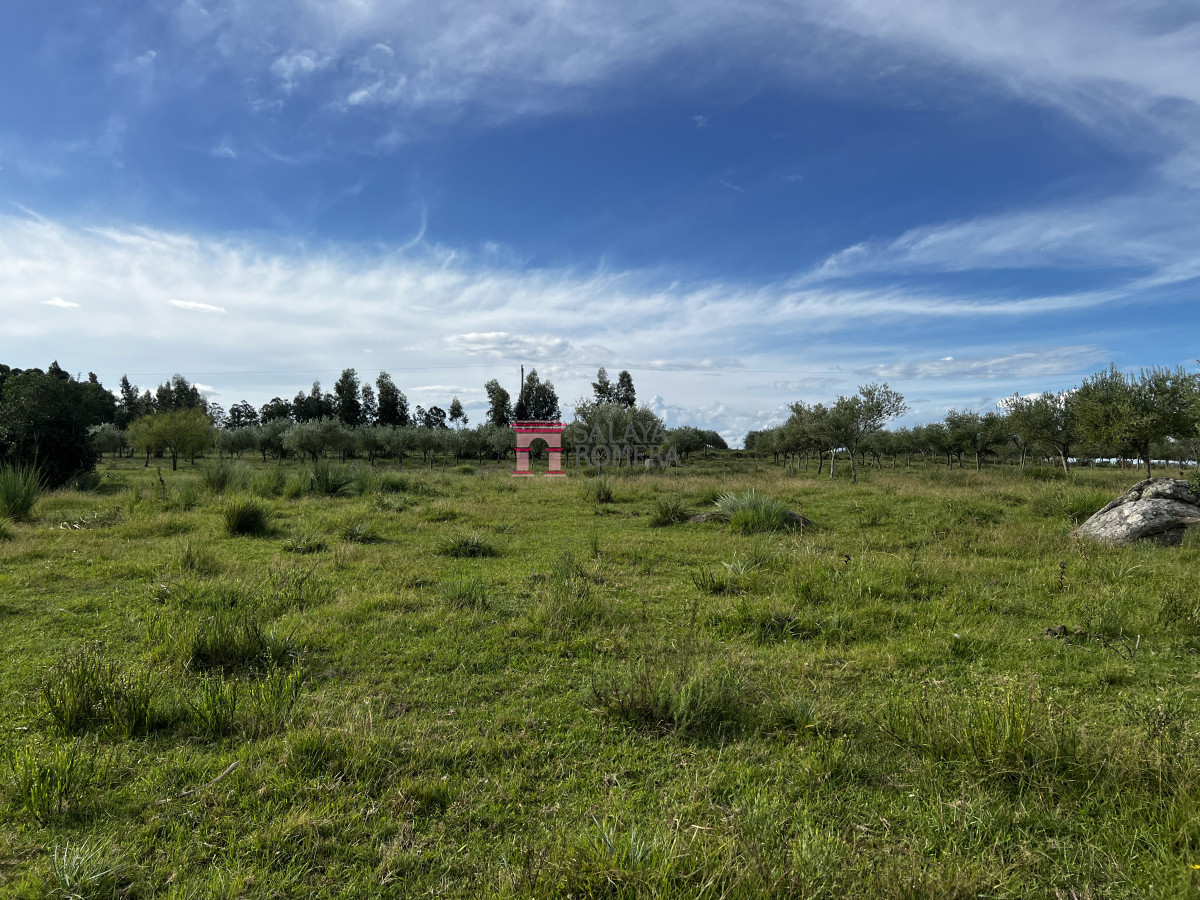 image 27
