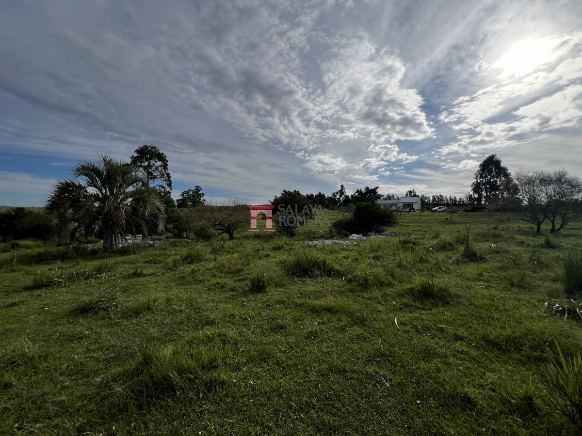 image 33