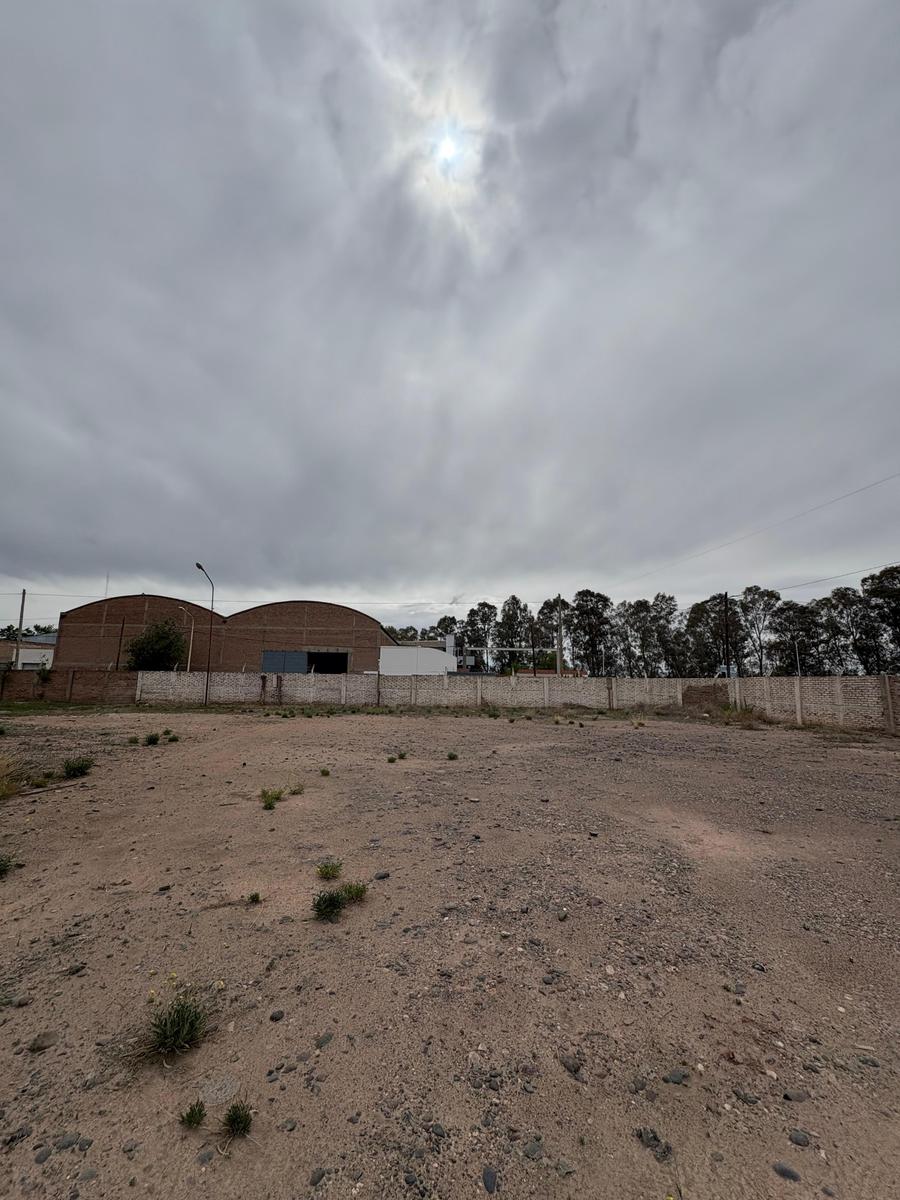image 14