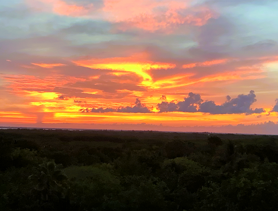 VISTA AL MAR Y MANGLAR