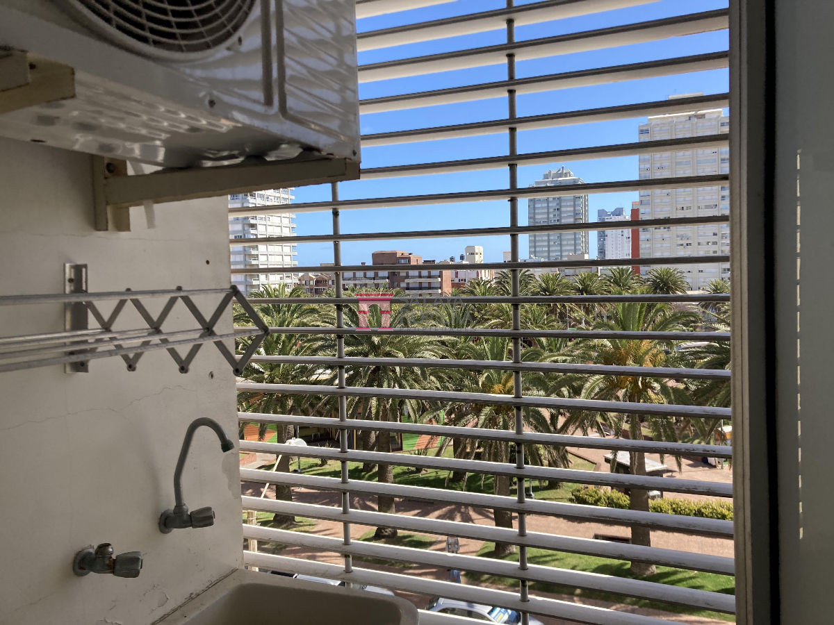 image 29