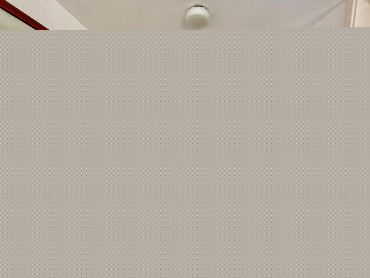 image 30