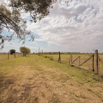 Guardarrama 3250 Bis - Terreno De 1 Ha Con Cabaña - Ibarlucea