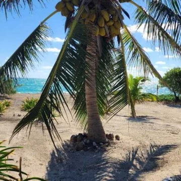 Terreno frente al mar en Isla Blanca