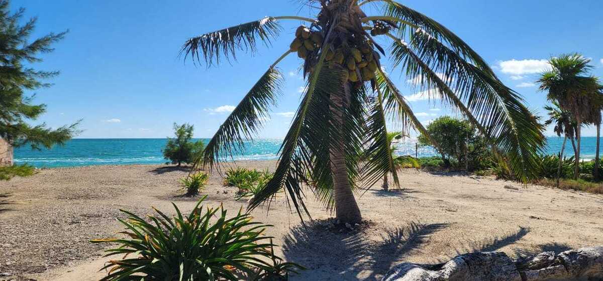 PAPELES EN REGLA TERRENO ISLA BLANCA
