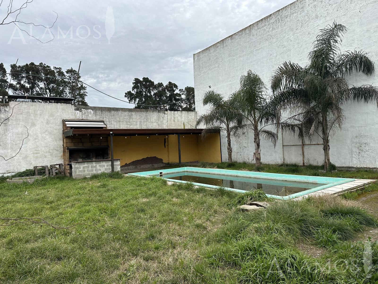 image 14