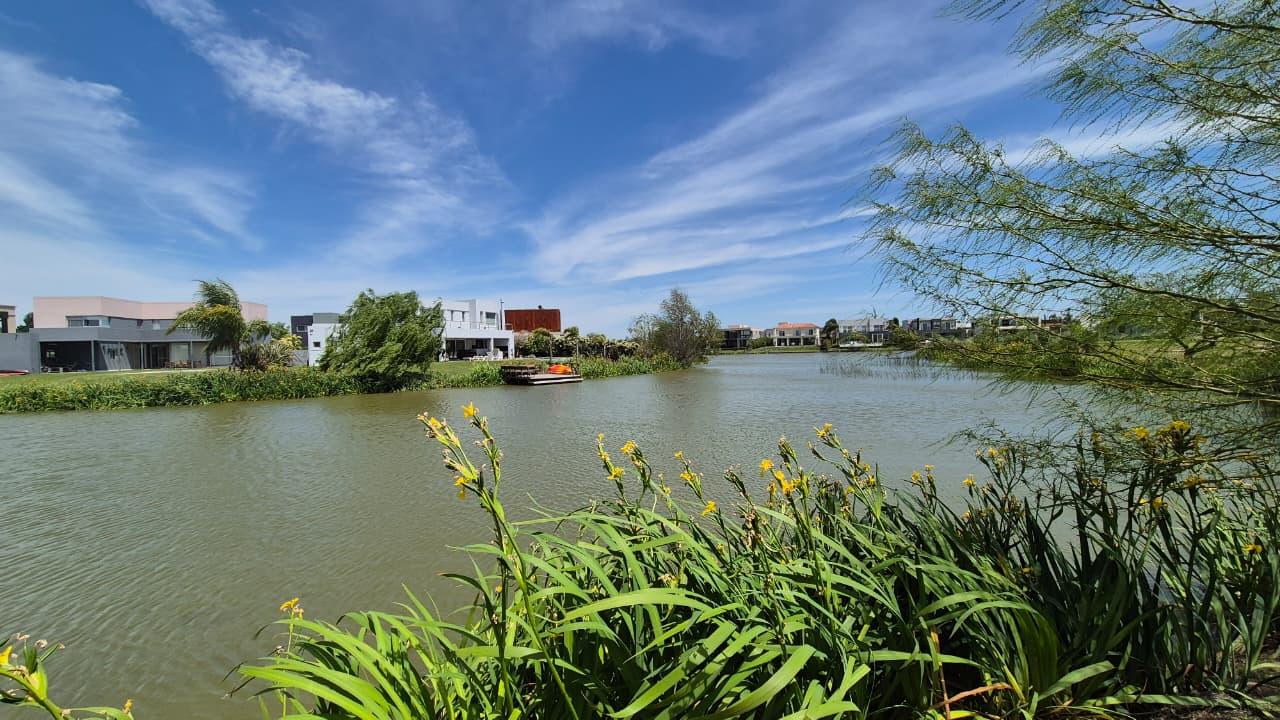 image 33