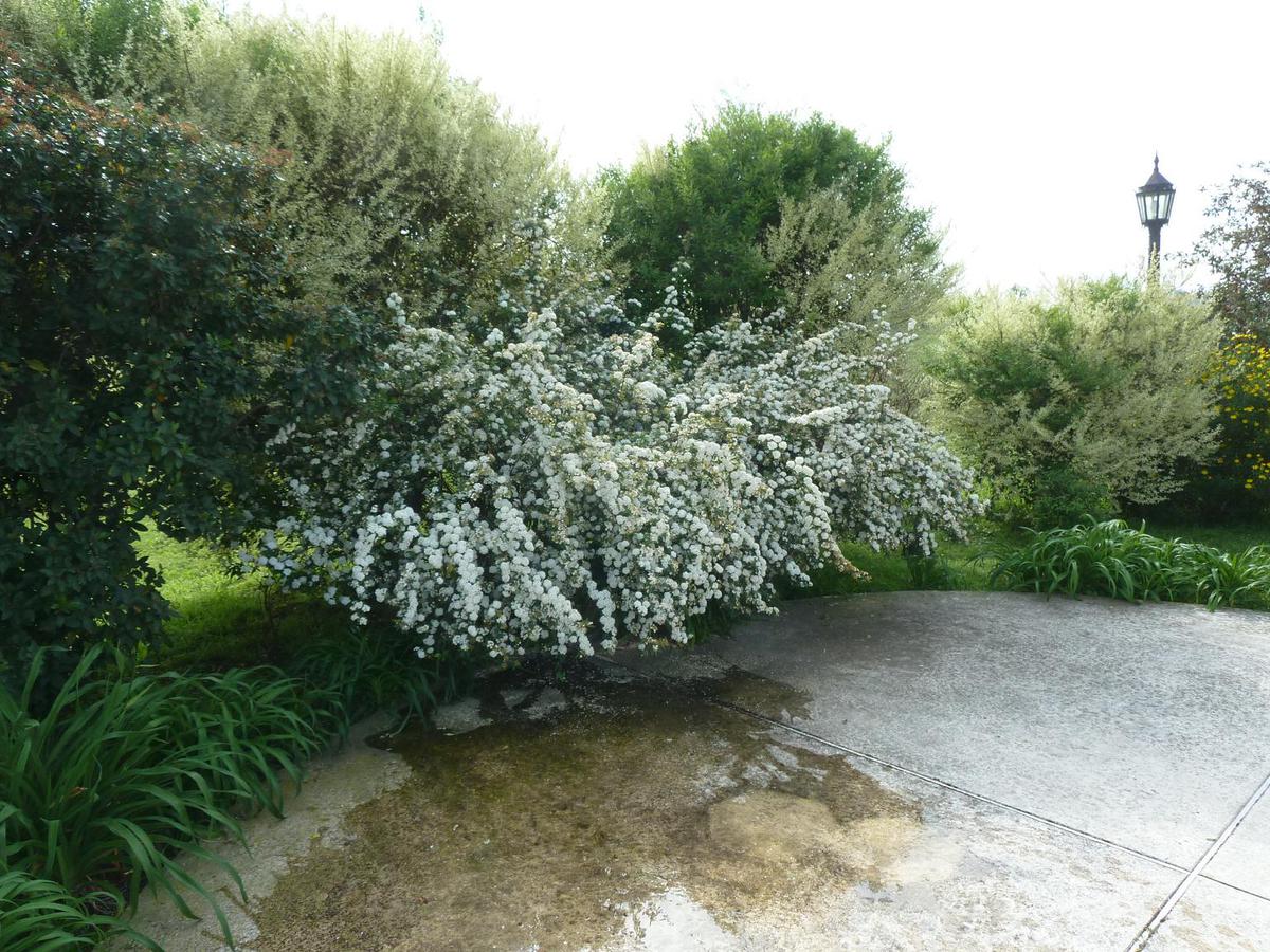 image 23