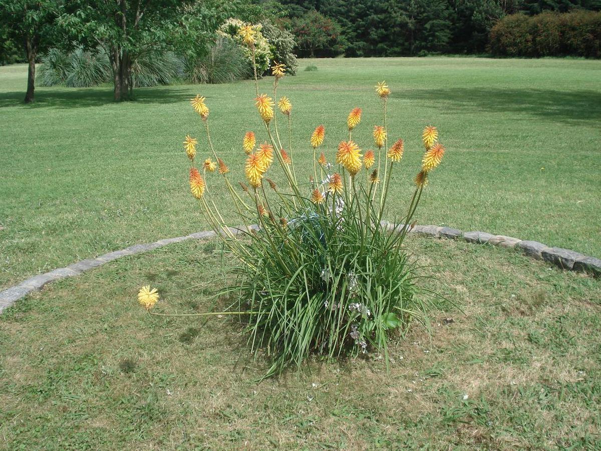 image 25