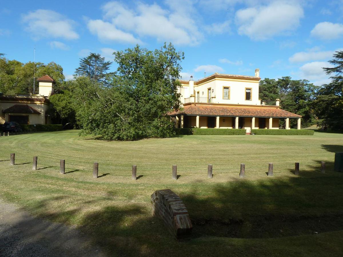 image 39