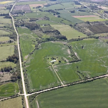 Campo agrícola en Colonia
