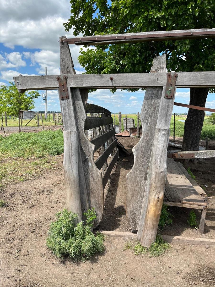 image 14
