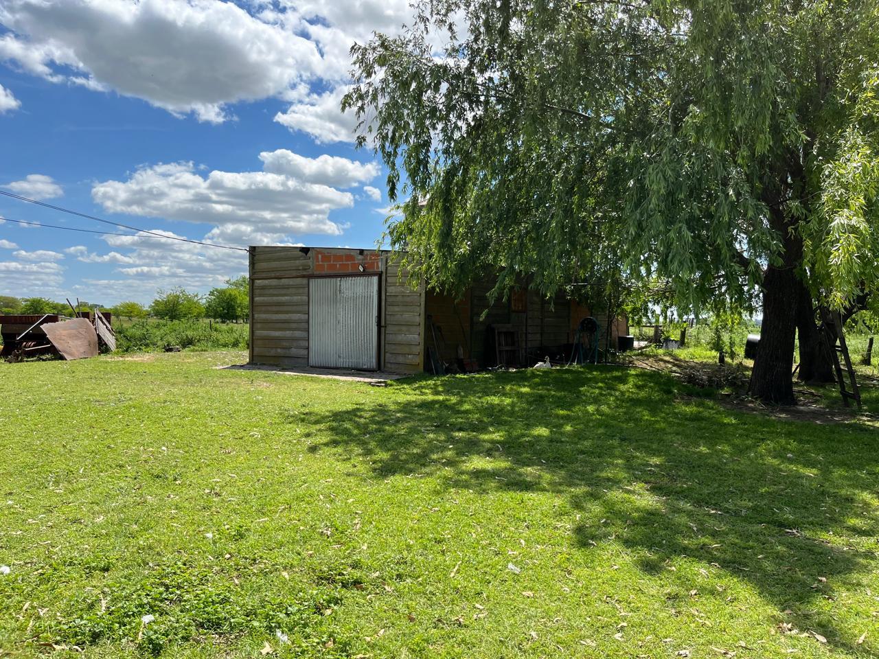 image 17